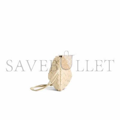 BOTTEGA VENETA SMALL DUSTBAG 816987V3IV15562 (21*16.6*1cm) BOTTEGA VENETA SMALL DUSTBAG 816987V3IV15562 (21*16.6*1cm)